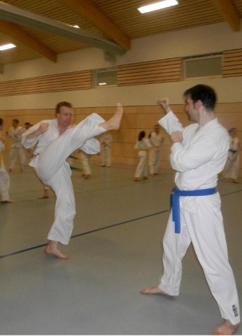 Taekwondo Training